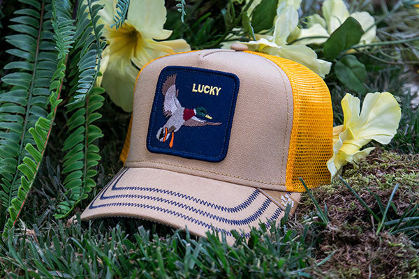 Caps on Stock