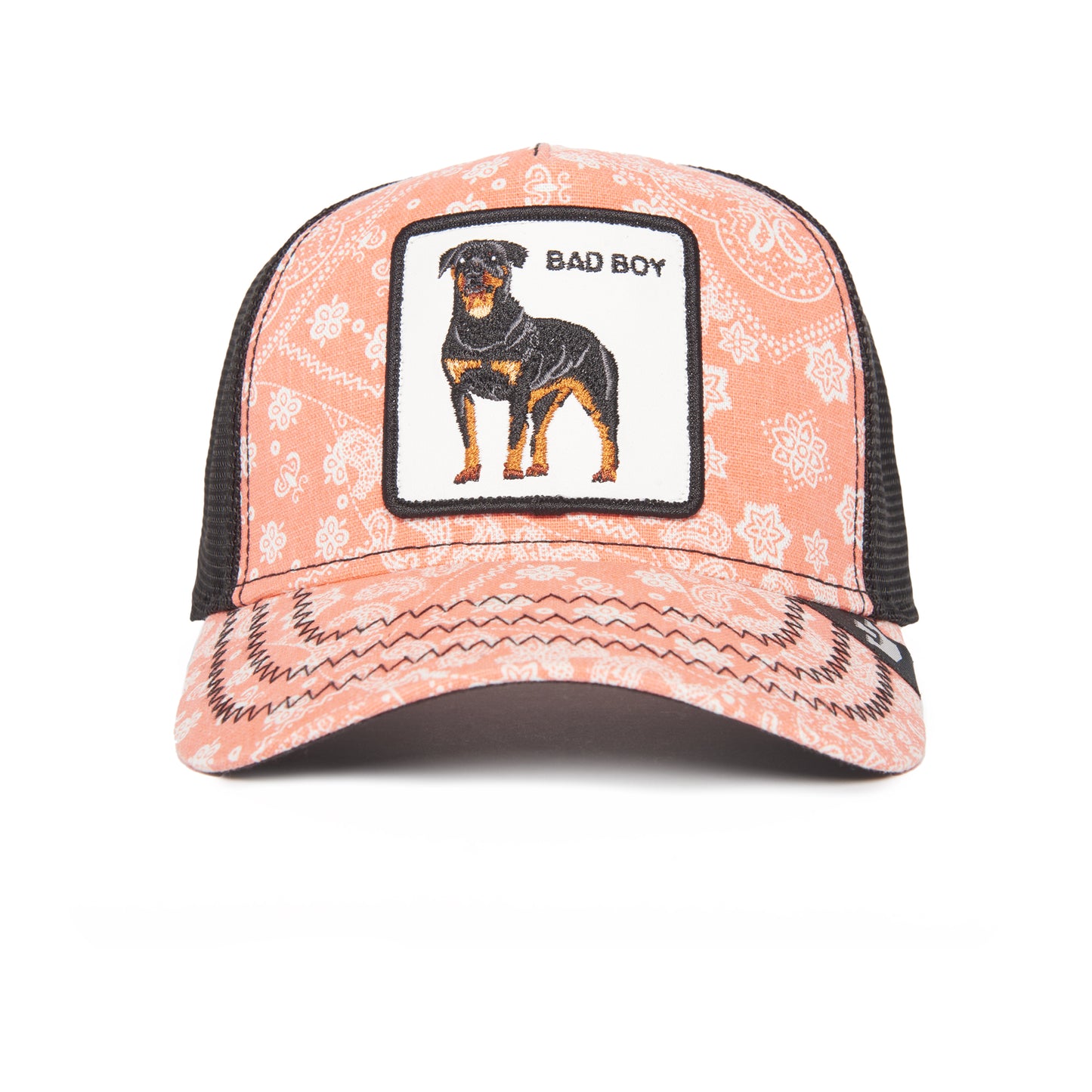 Lovesexy-Paisley