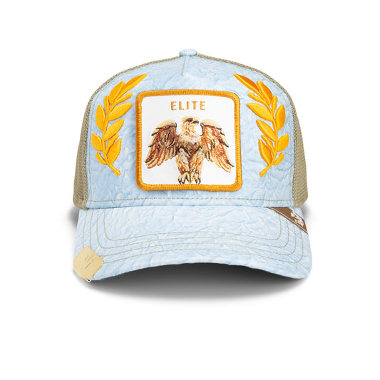 101-1833-SKY-F01