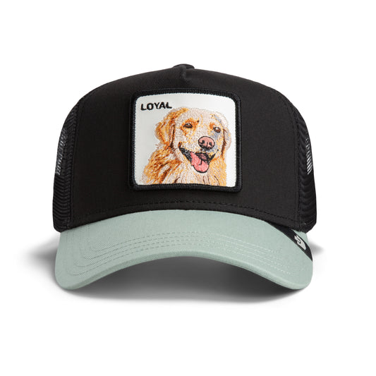 The Loyal Dog-Void