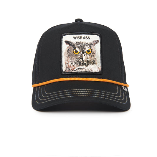 Wise Owl 100,ALL OVER CANVAS