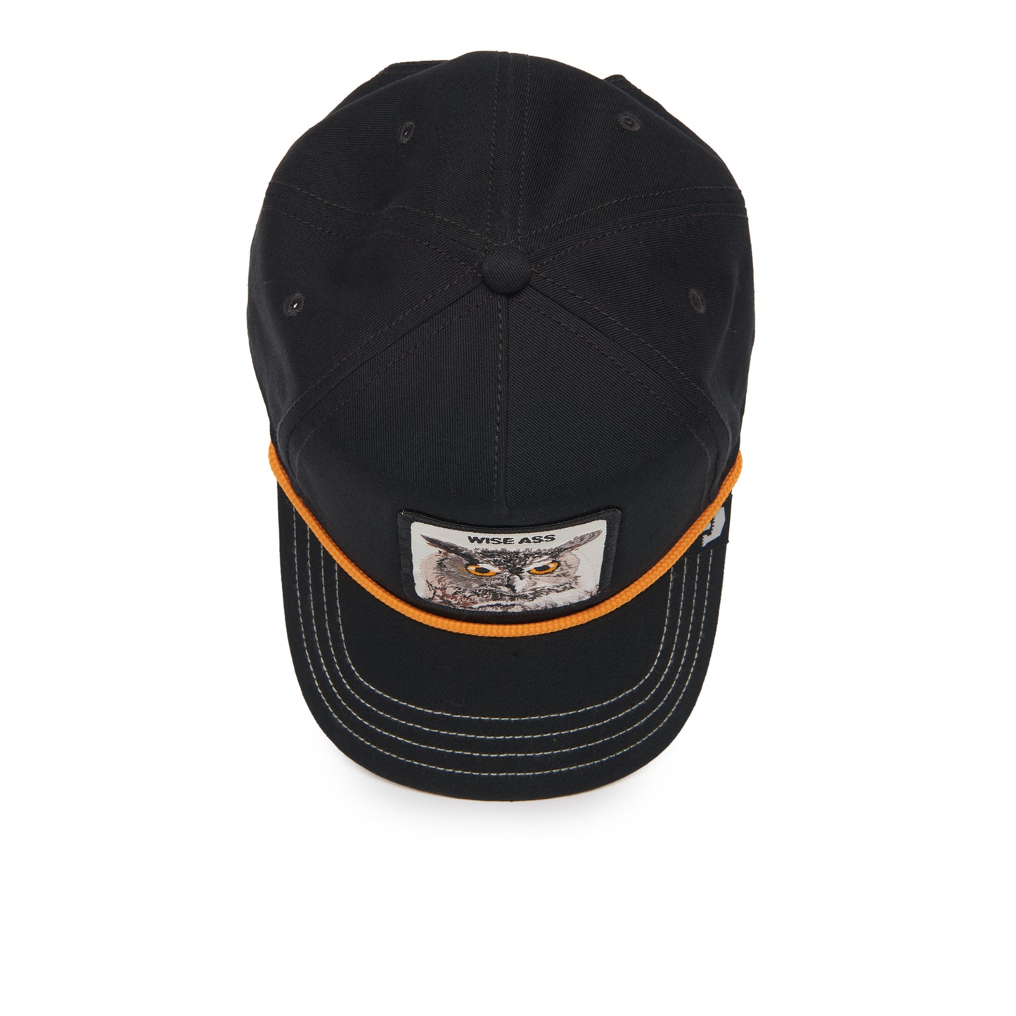 Wise Owl 100,ALL OVER CANVAS