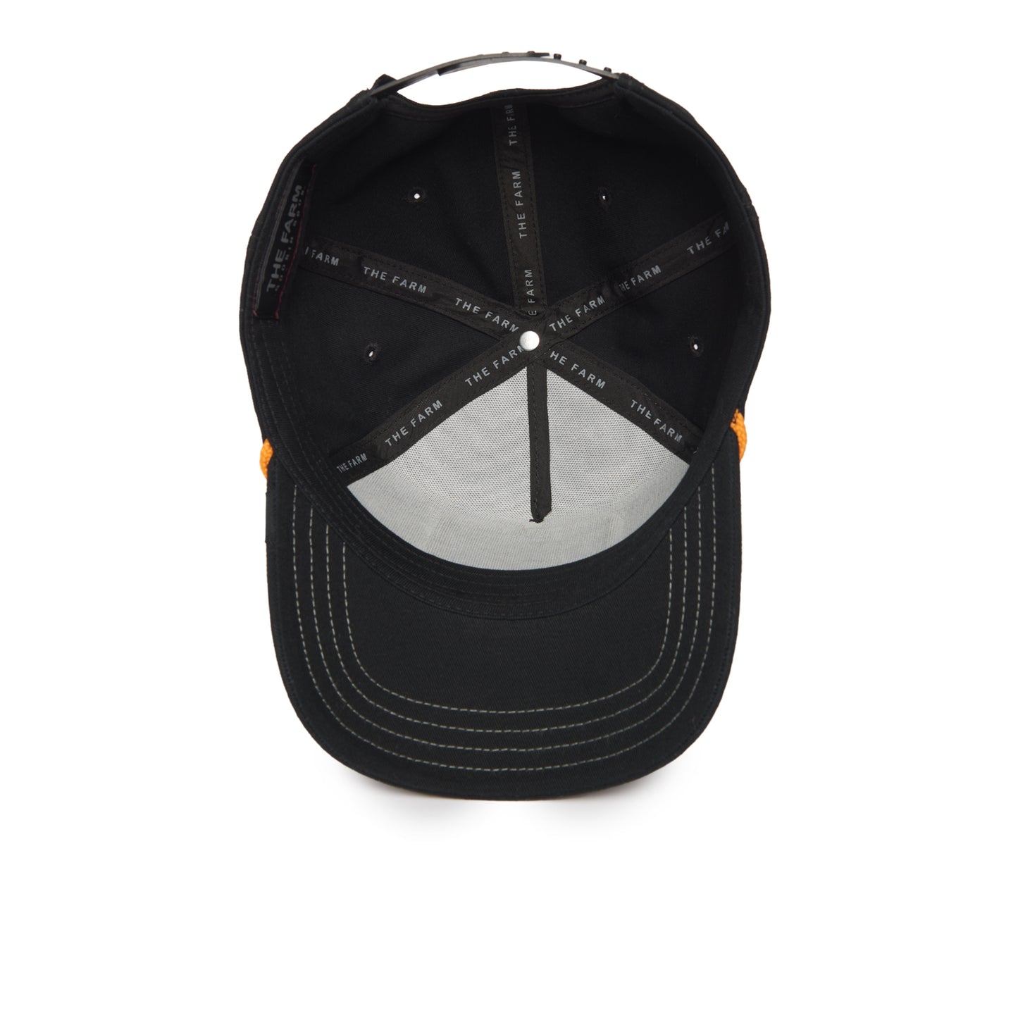 Wise Owl 100,ALL OVER CANVAS