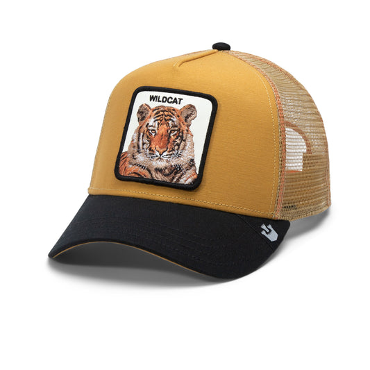 The Wildcat Tiger,BIG CATS