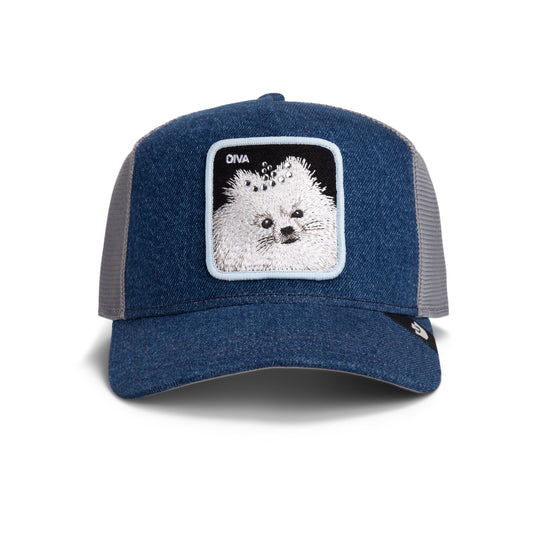 Diva Dawg-LIGHT DENIM