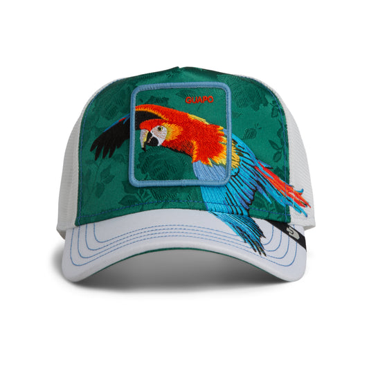 Honduras Macaw-BLANK