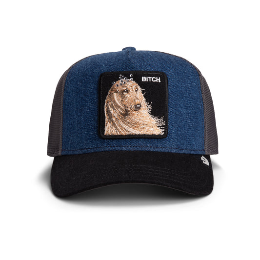 Hound Dawg-BLUE DENIM
