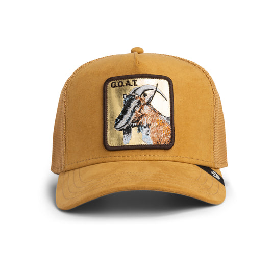 Golden Goat-AMBER