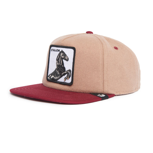 101-1373-TAN-L01