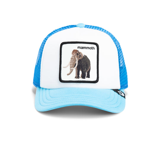 Mammoth Kiddo