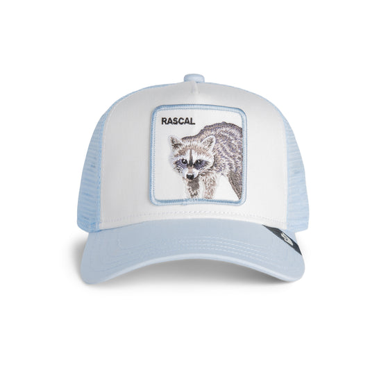 Rascal Raccoon Mini