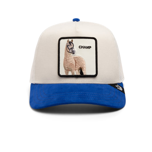 The Suede Horse,MICRO SUEDE