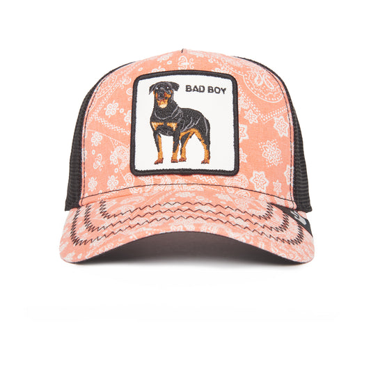 Lovesexy-Paisley