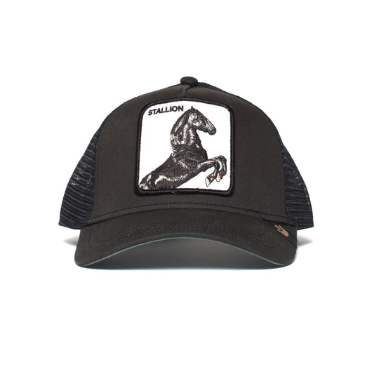 101-0393-BLK-F01