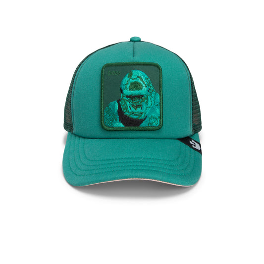 201-0065-EMR-F01