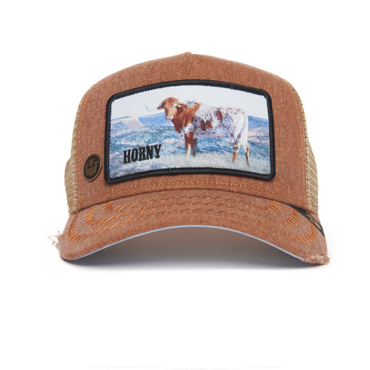 Model No. H02NY- RODEO