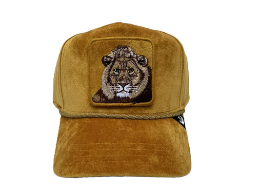 Lion Royalty,ROYALTY