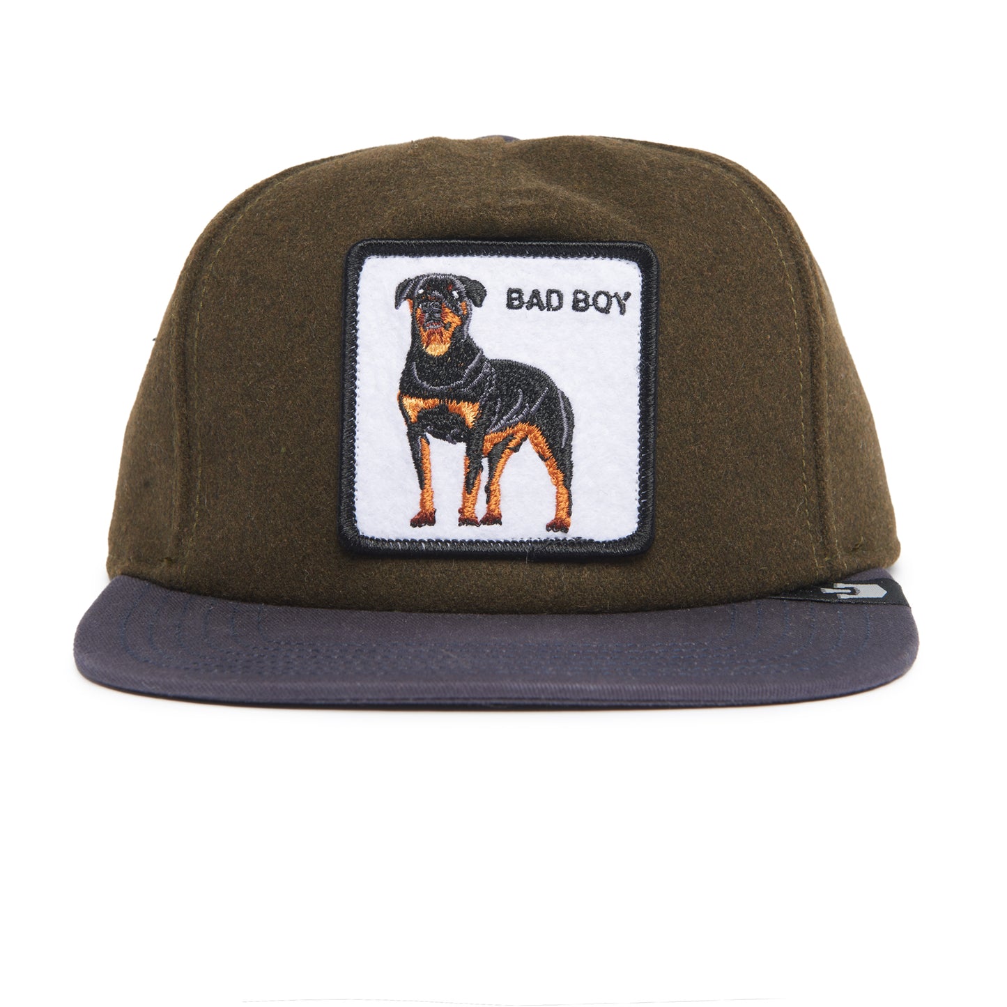 Top Dog-WILDLIFE