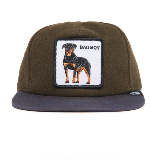 Top Dog-WILDLIFE