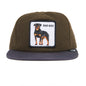 Top Dog-WILDLIFE