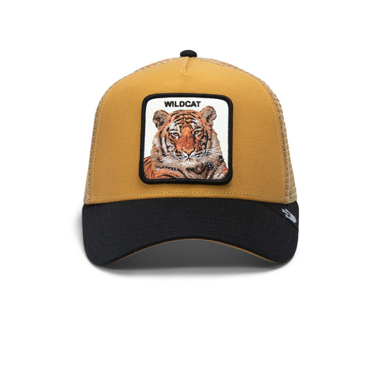 The Wildcat Tiger,BIG CATS