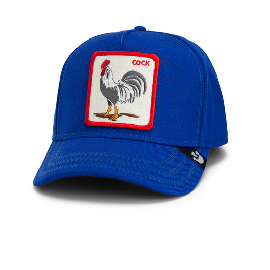 101-1851-BLU-L01