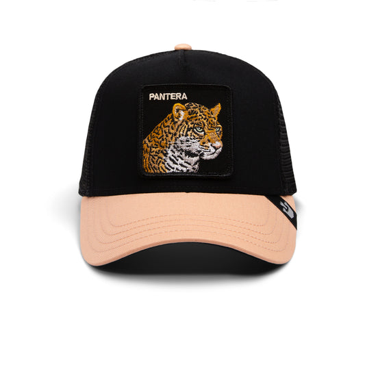 The Pantera,BIG CATS
